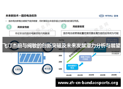 飞汀杰蔚与阀敏的创新突破及未来发展潜力分析与展望